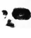Black Eyes